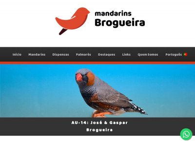 Mandarins Brogueira